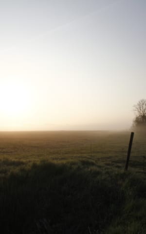 The 5-4-3-2-1 Grounding Exercise for Anxiety with Chronic Illness | The Health Sessions