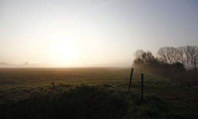 The 5-4-3-2-1 Grounding Exercise for Anxiety with Chronic Illness | The Health Sessions