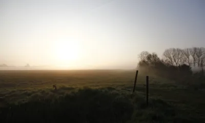 The 5-4-3-2-1 Grounding Exercise for Anxiety with Chronic Illness | The Health Sessions