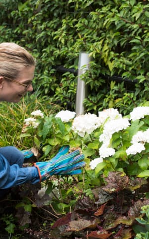 The Art of Savoring: 21 Ideas to Fully Enjoy Every Day | The Health Sessions