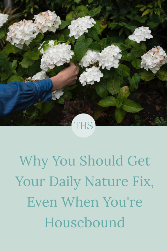 Why You Should Get Your Daily Nature Fix, Even When You're Housebound | The Health Sessions
