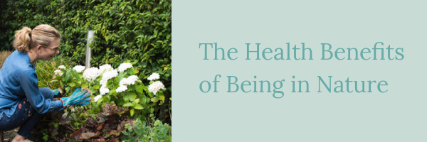 Why You Should Get Your Daily Nature Fix, Even When You're Housebound | The Health Sessions