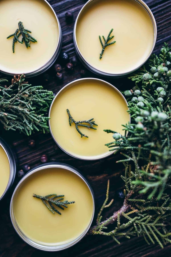 Winter Wellness: Juniper Berry Salve from Schisandra and Bergamot | The Health Sessions