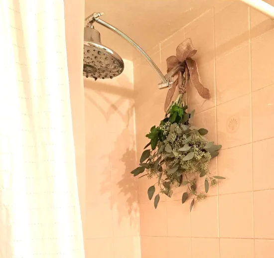 Winter Wellness: Hanging Herbs in the Shower from Harvesting Quality Thyme | The Health Sessions