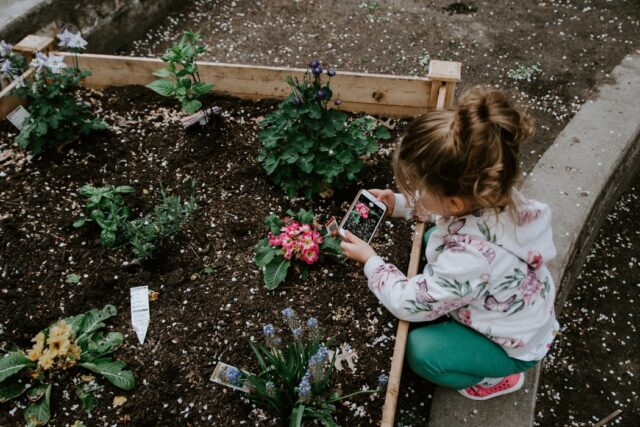 The Surprising Benefits of Gardening for Your Wellbeing | The Health Sessions