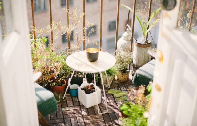 6 Natural Ways to Bring the Outdoors Indoors | The Health Sessions