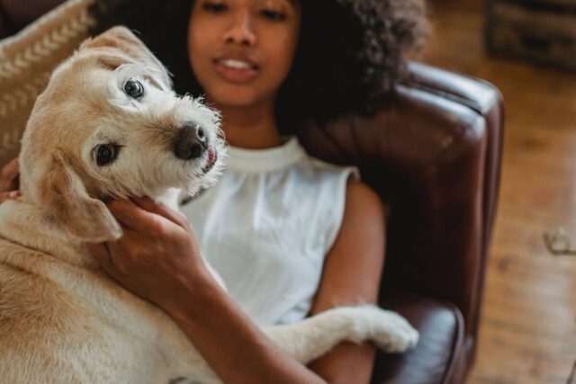 What Pavlov's Dogs Can Teach Us About Creating Healthy Habits | The Health Sessions