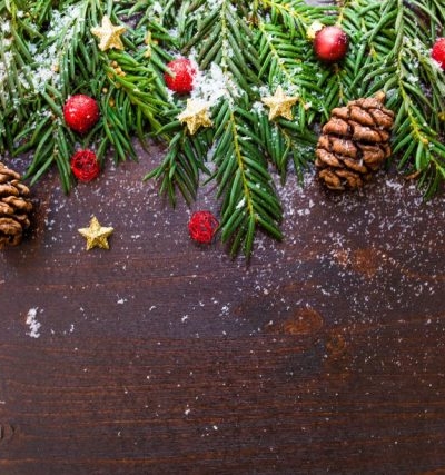 Holiday Reading Guide: A New Year, A New You | The Health Sessions